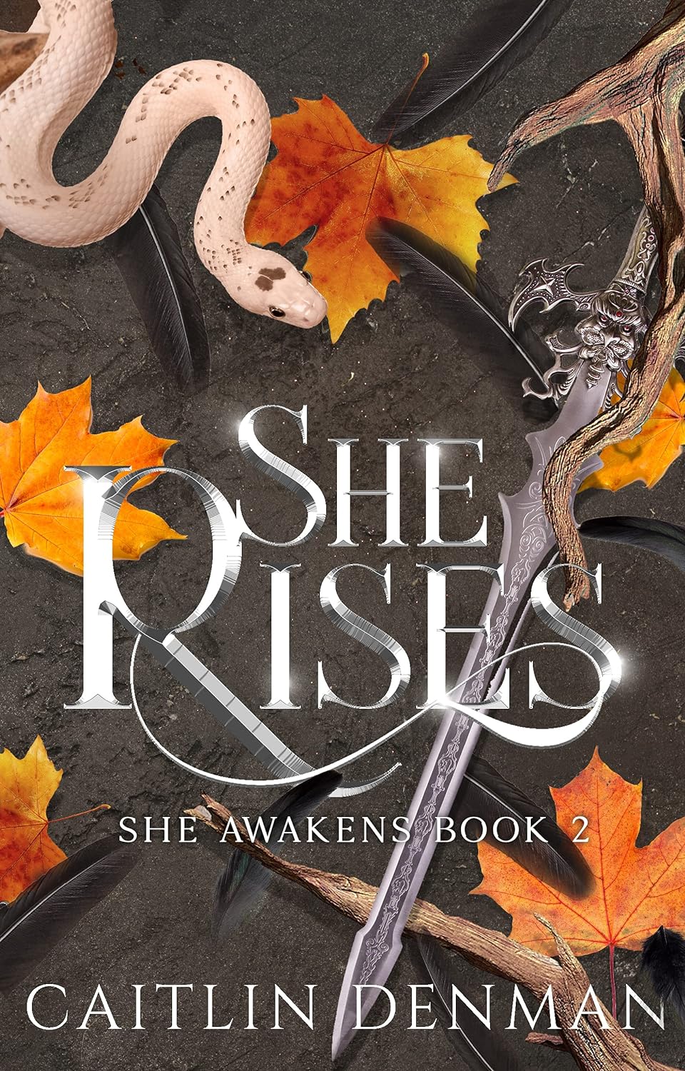 She Awakens 2 - She Rises