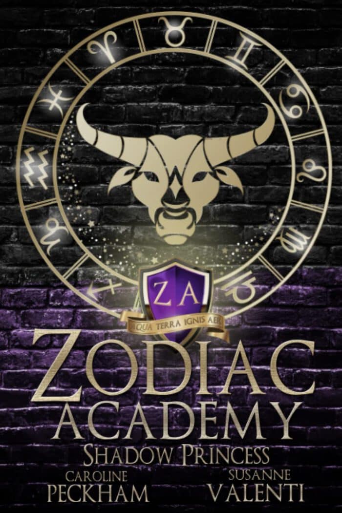 Zodiac Academy 4 - Shadow Princess
