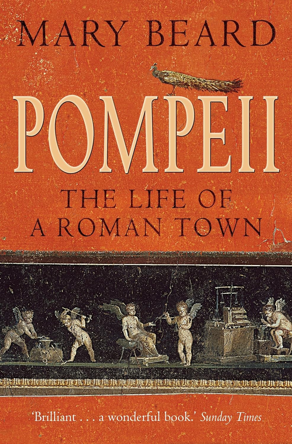 Pompeii - The Life of a Roman Town