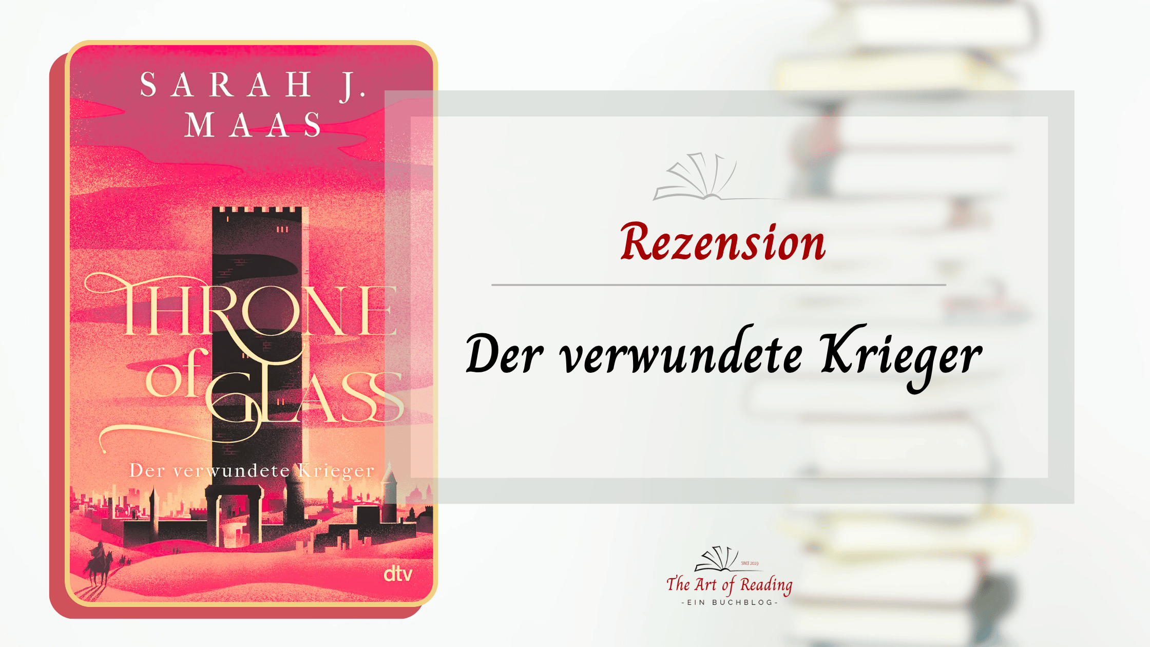Der verwundete Krieger - Rezension