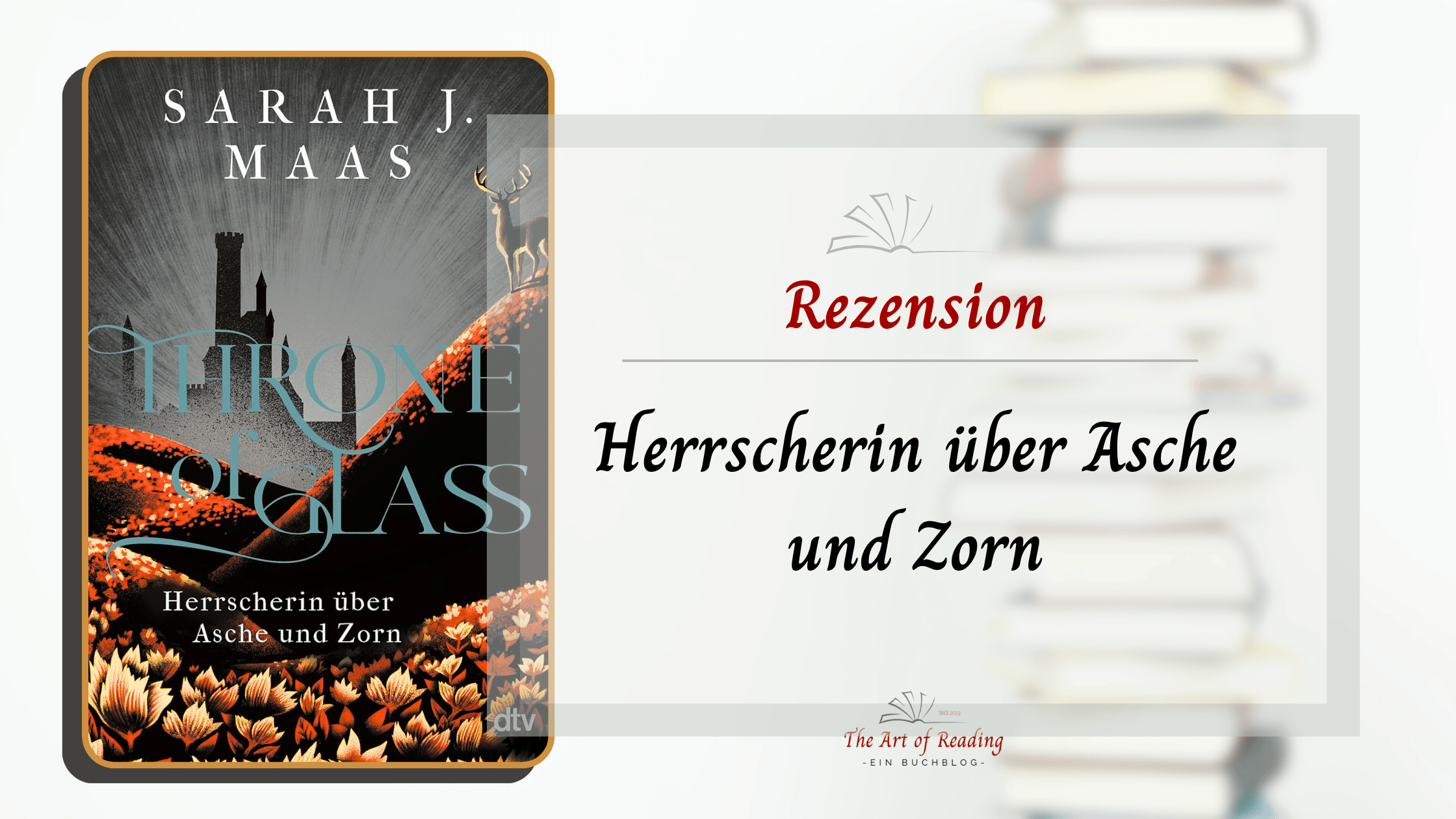 Herrscherin über Asche und Zorn - Rezension